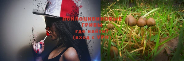 дмт Ладушкин