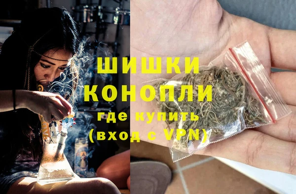 дмт Ладушкин