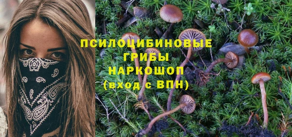 дмт Ладушкин