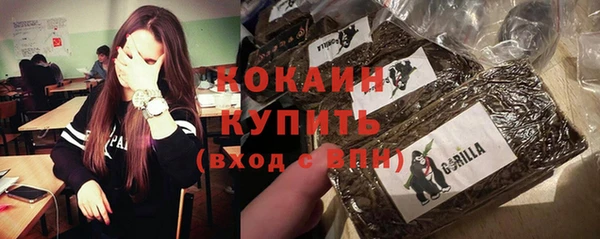 дмт Ладушкин