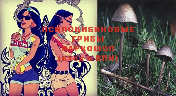 эйфоретик Лихославль