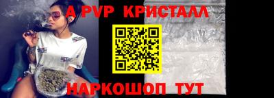 a pvp Камышлов