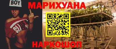 гашик Кандалакша
