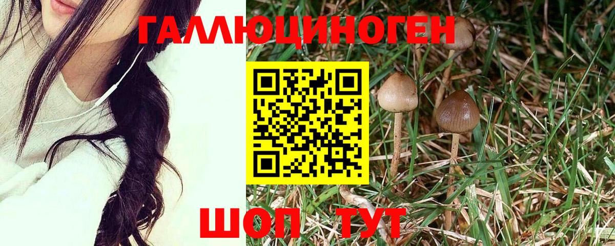 Псилоцибиновые грибы Cubensis  Вход с VPN  Галлюциногенные грибы Psilocybine cubensis  Усть-Илимск 
