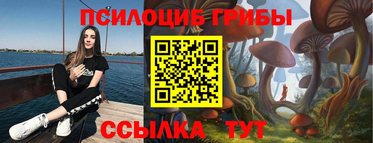 Галлюциногенные грибы прущие грибы  Усть-Илимск 