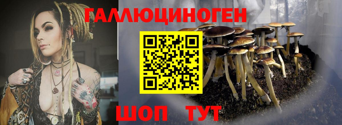 Усть-Илимск  КЕТАМИН  НБОМе  ГАШИШ  МДМА  МАРИХУАНА  МЕФ кристаллы  КОКАИН  ГАШИШ 