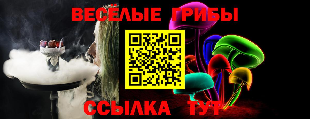 Галлюциногенные грибы Cubensis Усть-Илимск